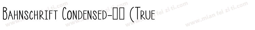 Bahnschrift Condensed-粗体 (TrueType)字体转换